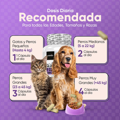 Ingredientes de las cápsulas de glucosamina y condroitina