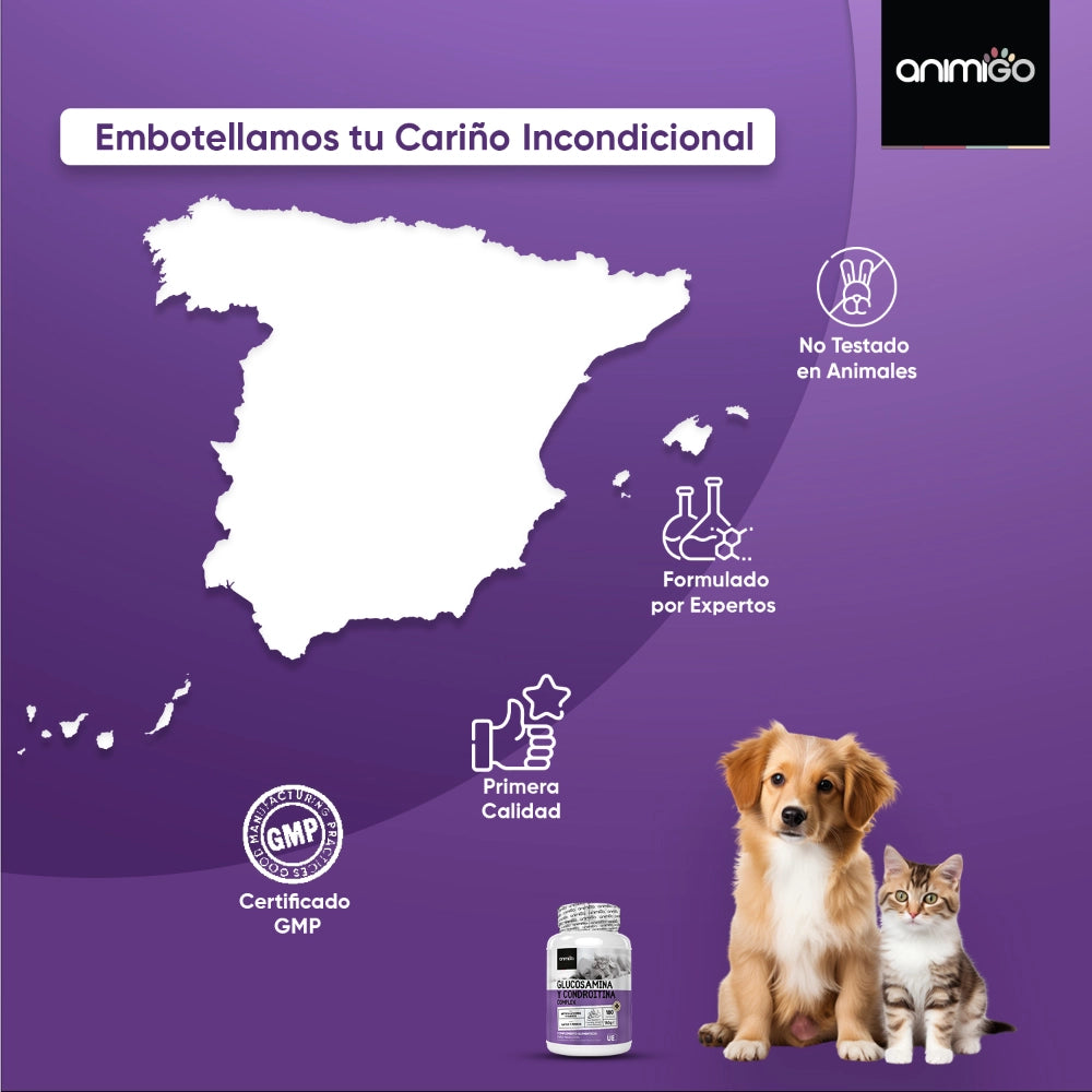 Animigo, líder en bienestar animal