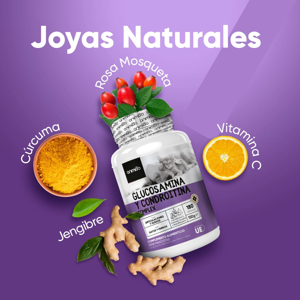 Glucosamina y condroitina para perros y gatos