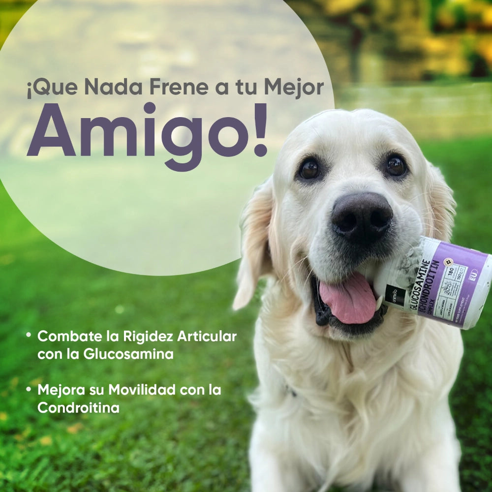 Beneficios de la glucosamina y condroitina