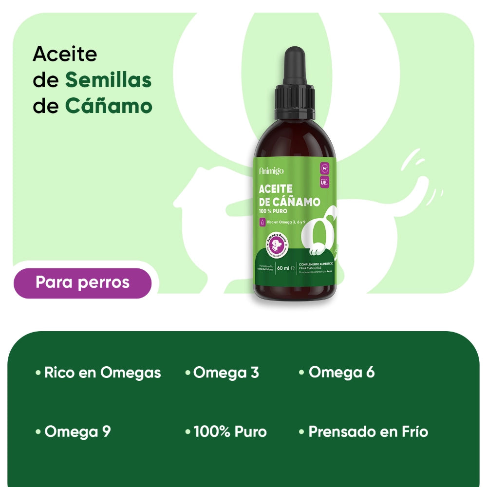 Propiedades del aceite de cáñamo para perros