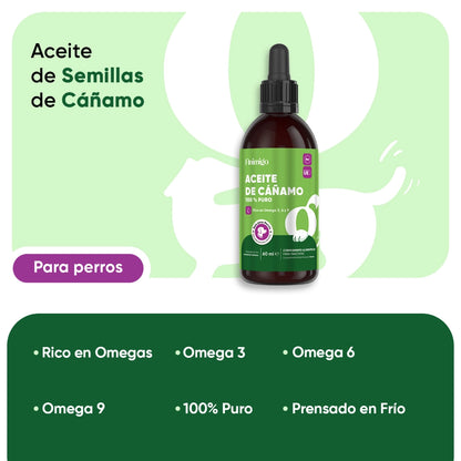 Propiedades del aceite de cáñamo para perros