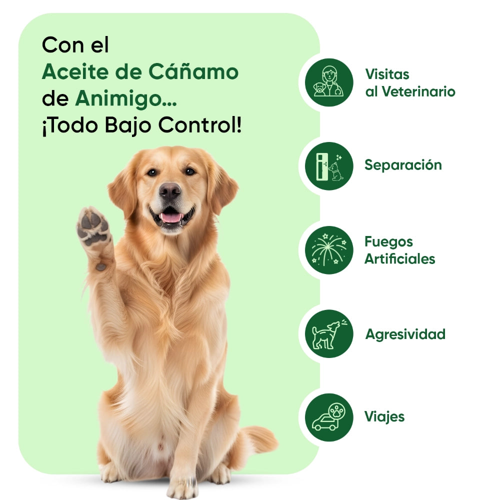 Usos del aceite de cáñamo para perros
