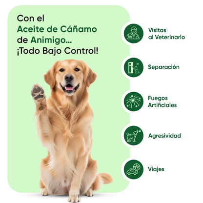 Usos del aceite de cáñamo para perros