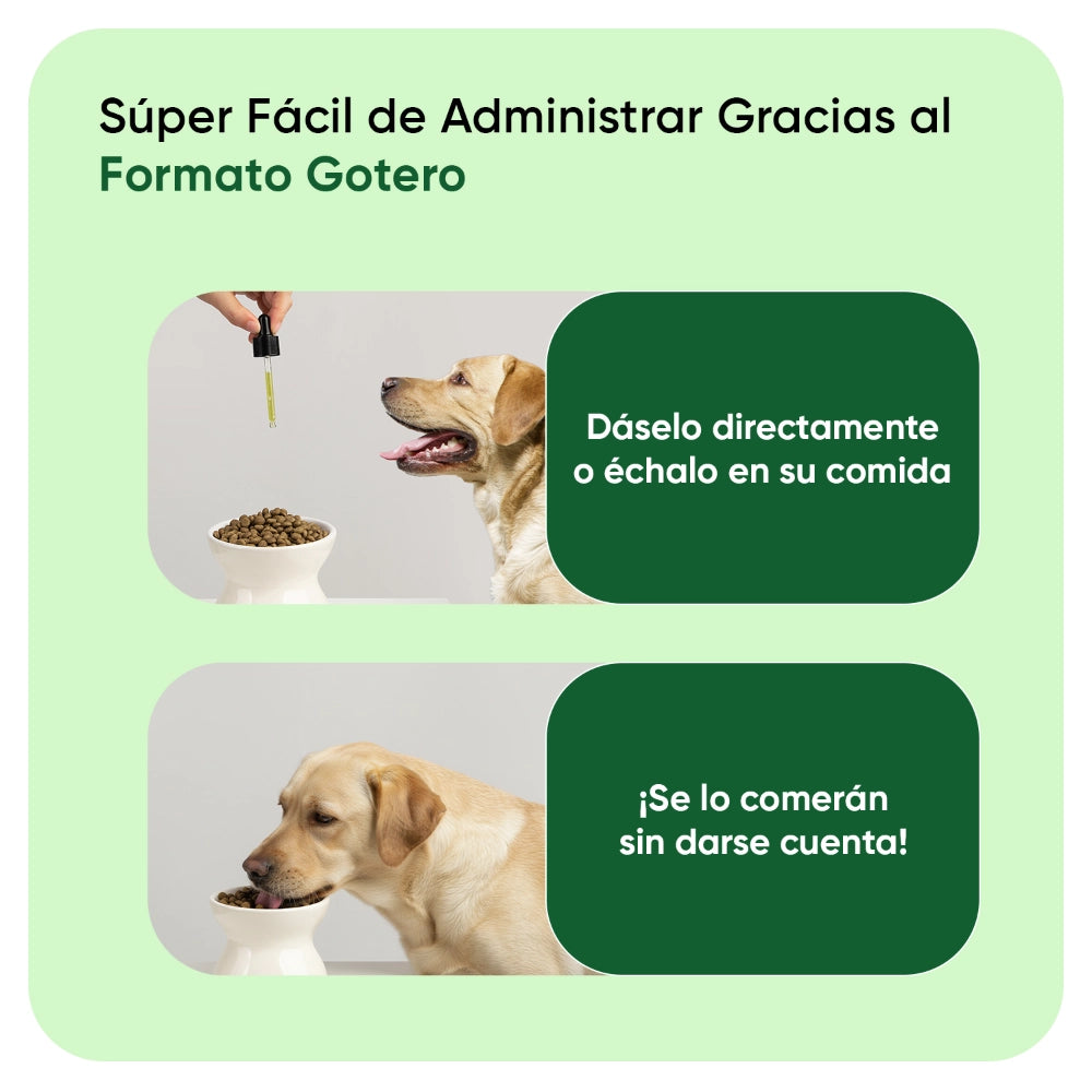 Aceite de cáñamo con gotero