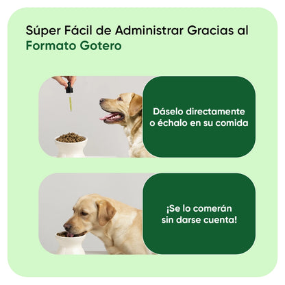 Aceite de cáñamo con gotero