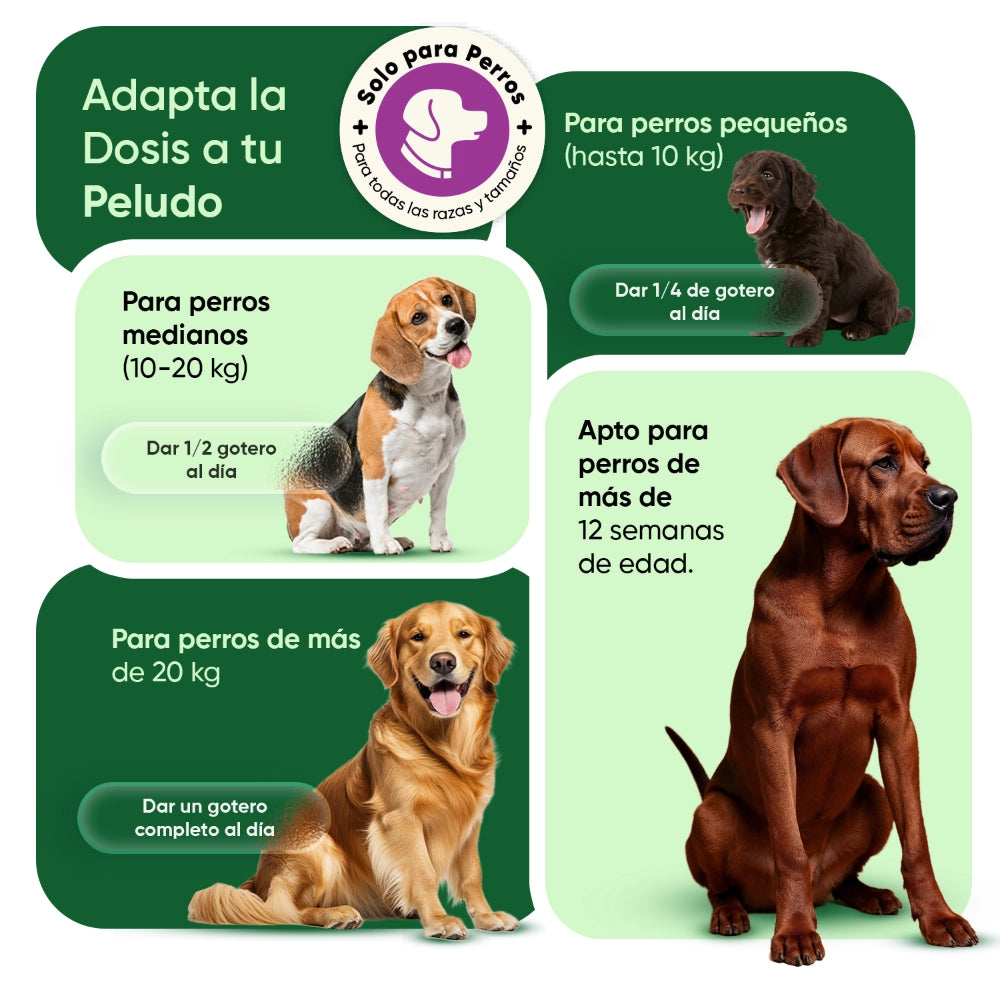 Dosificación para perros