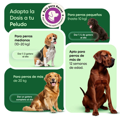 Dosificación para perros