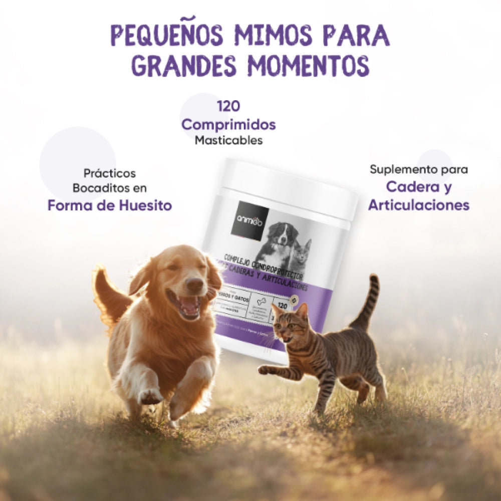 Condroprotector natural para perros y gatos