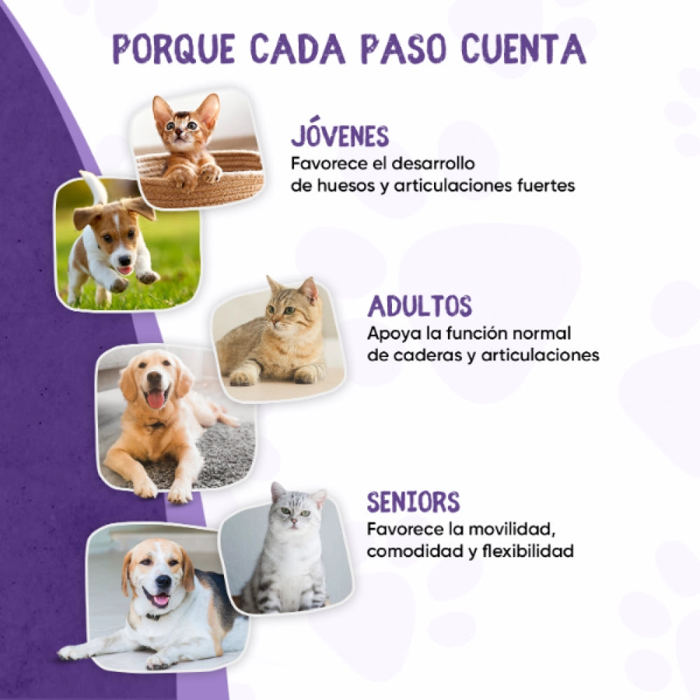 Condroprotector para articulaciones y huesos