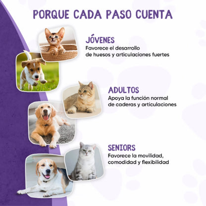 Condroprotector para articulaciones y huesos