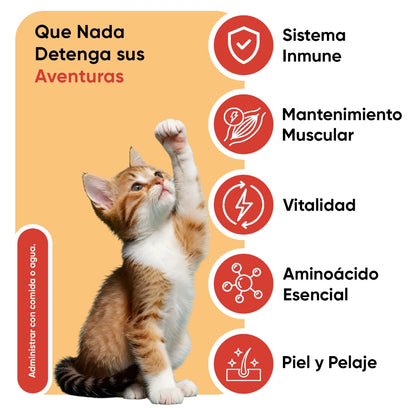 animigo-es-l-lysine-for-cats-04
