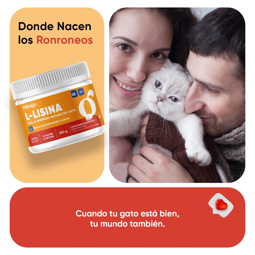 animigo-es-l-lysine-for-cats-06