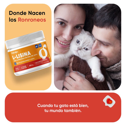 animigo-es-l-lysine-for-cats-06