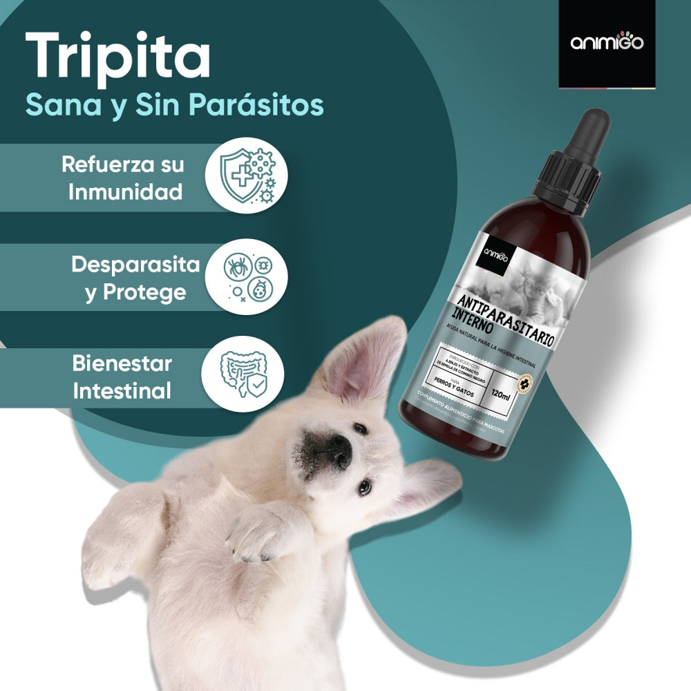 Animigos satisfechos
