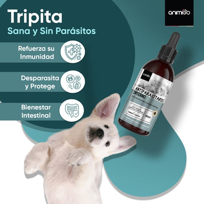 animigo-es-wormwood-advanced-for-cats-and-dogs-120ml-liquid-02.jpg