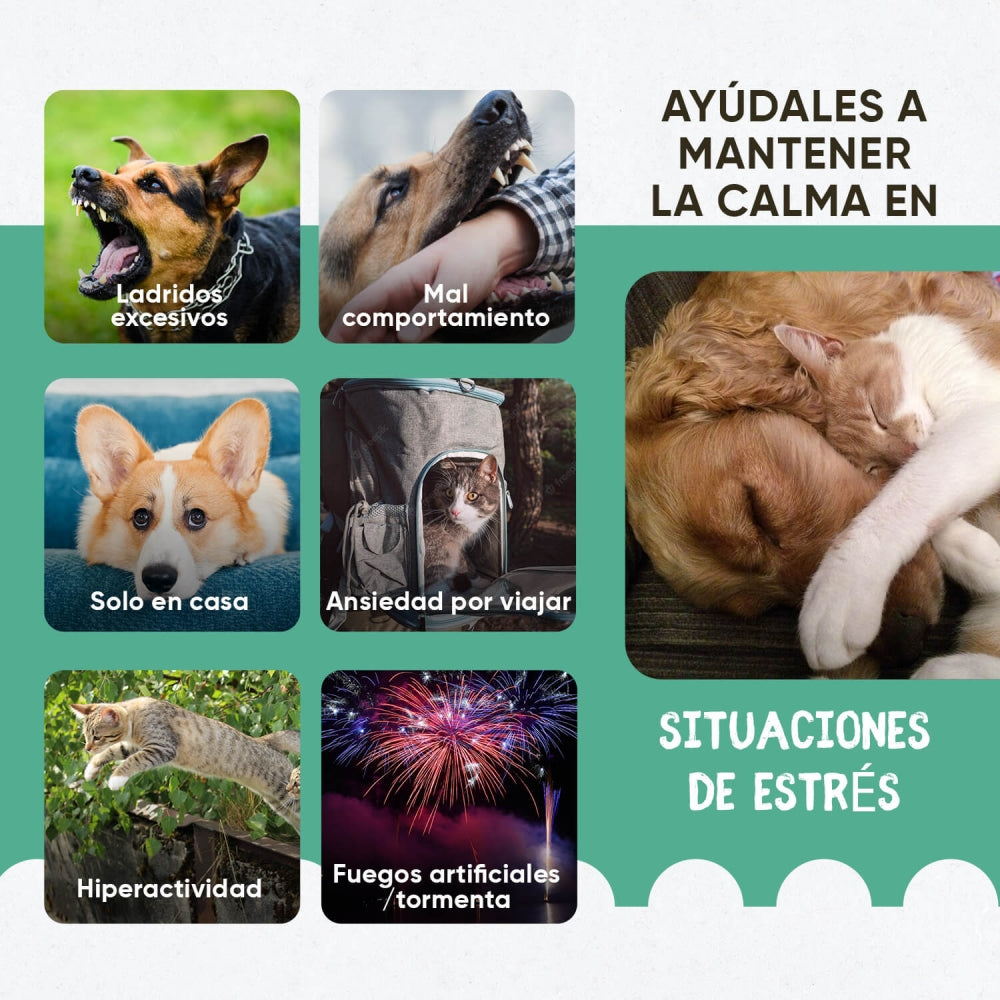 calming-drops-es-3