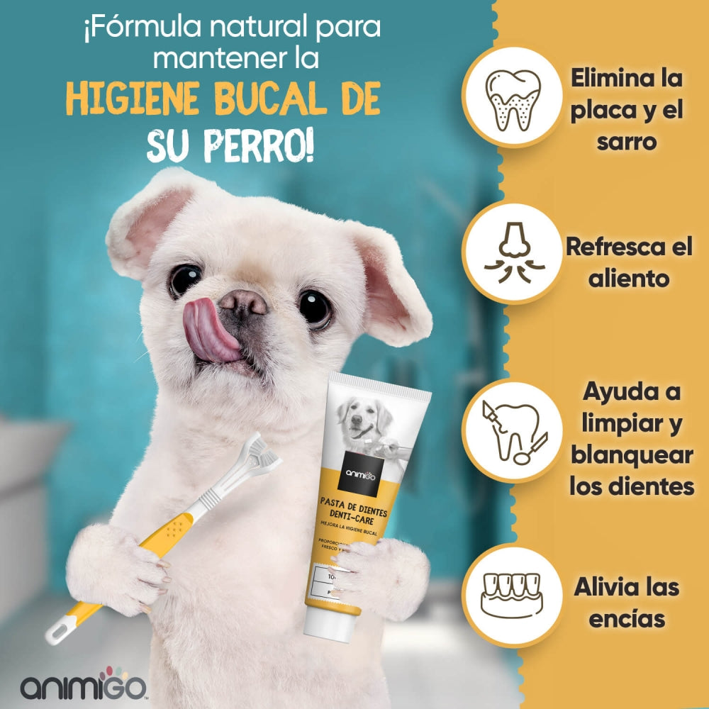 denti-care-kit-es-2