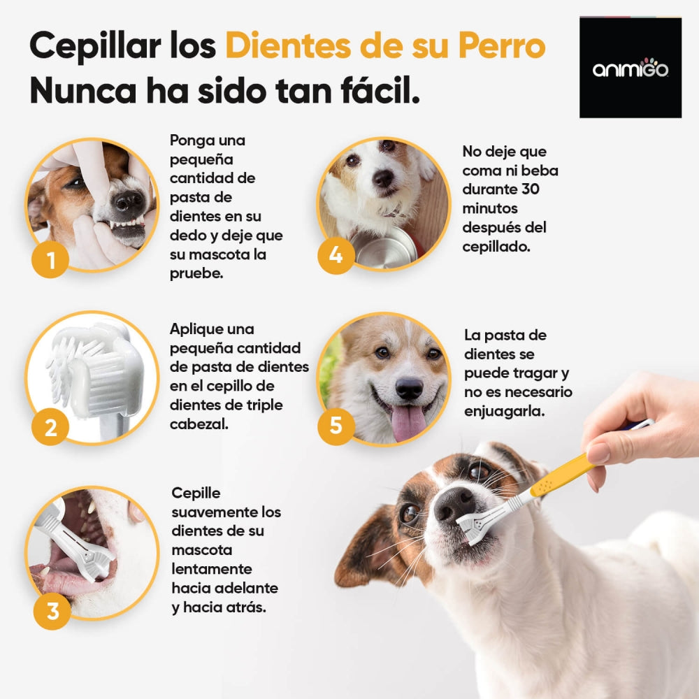 denti-care-kit-es-5