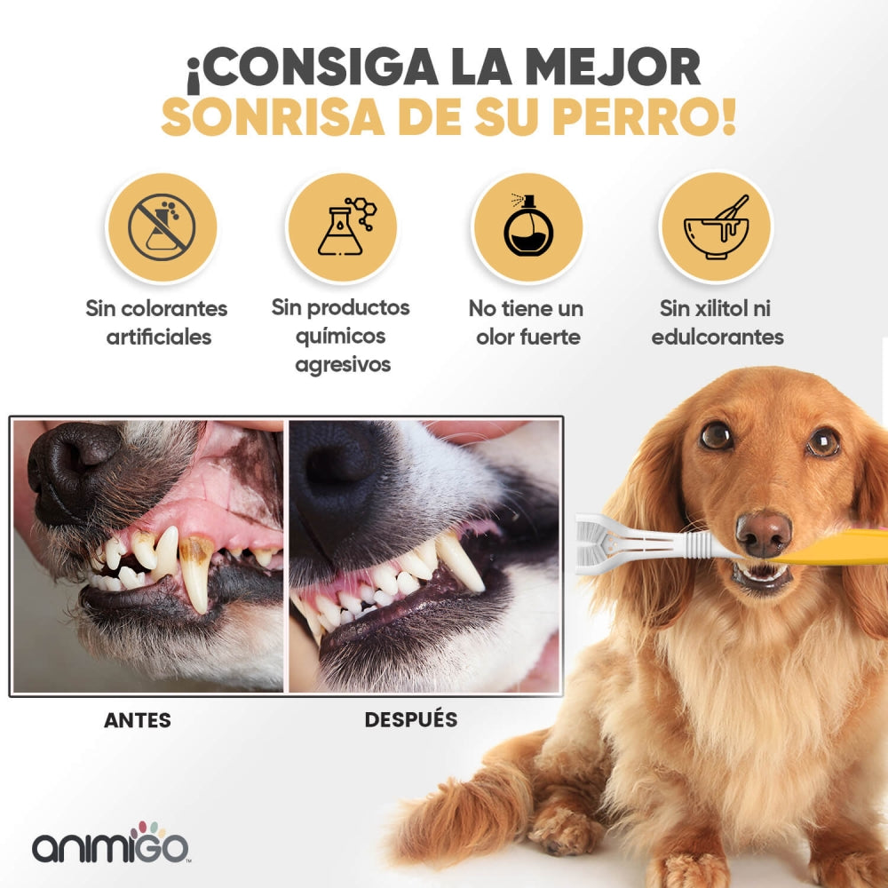 denti-care-kit-es-6