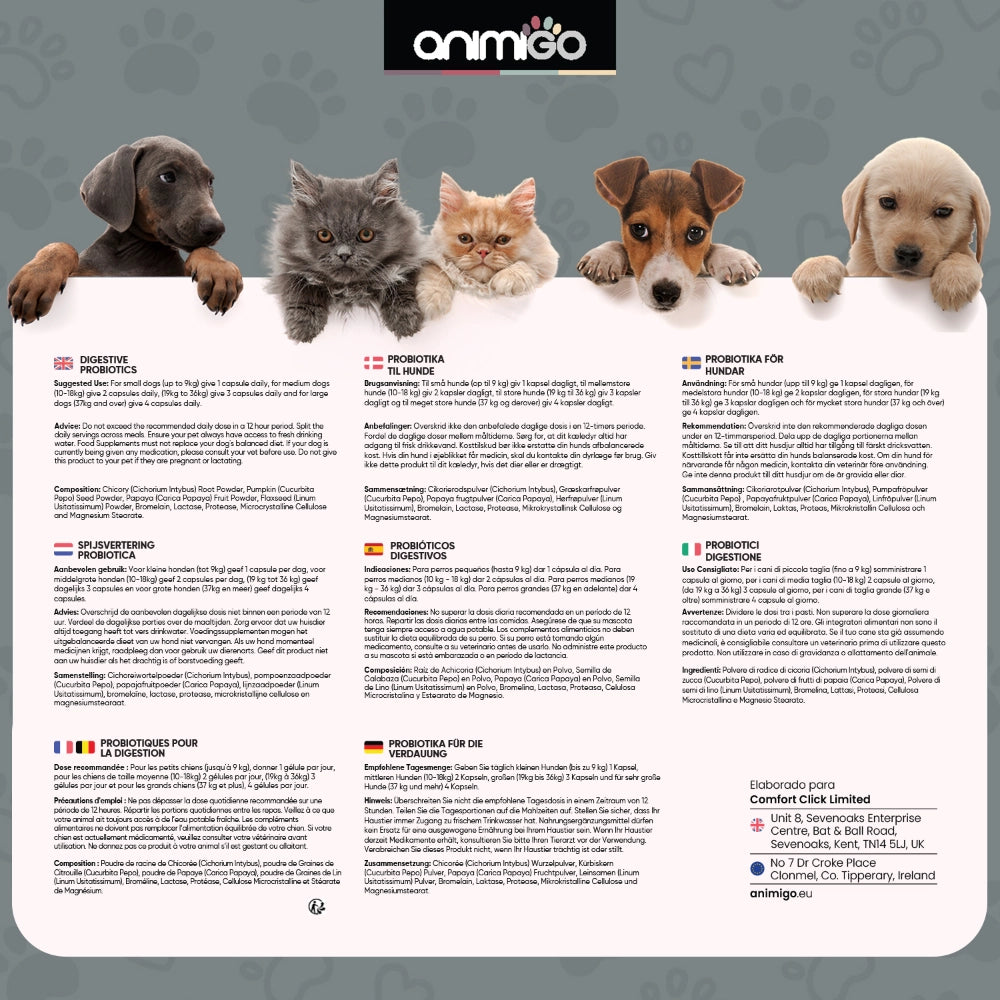 Modo de empleo probióticos naturales para perros