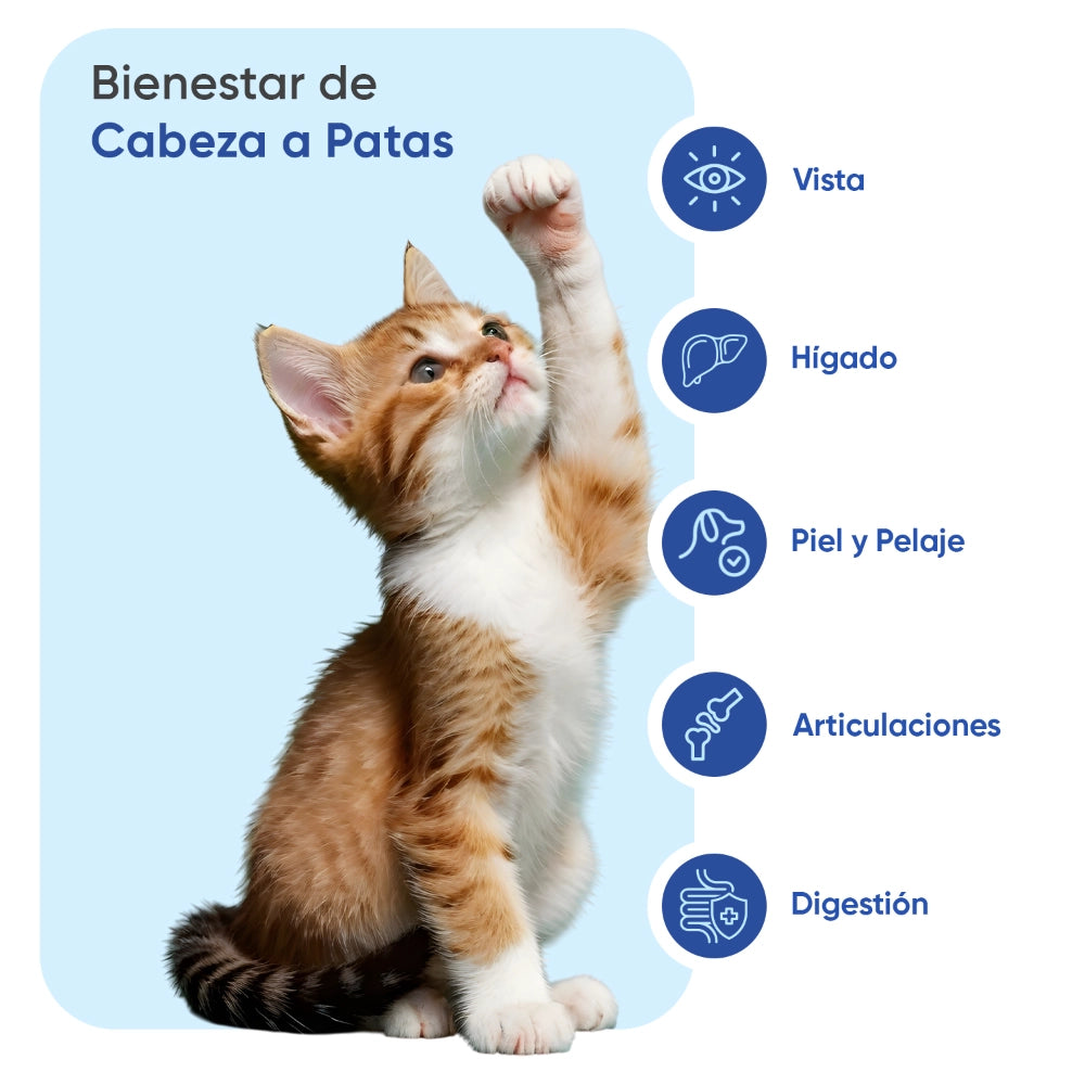 multivitamin-with-minerals-for-cats-es-2