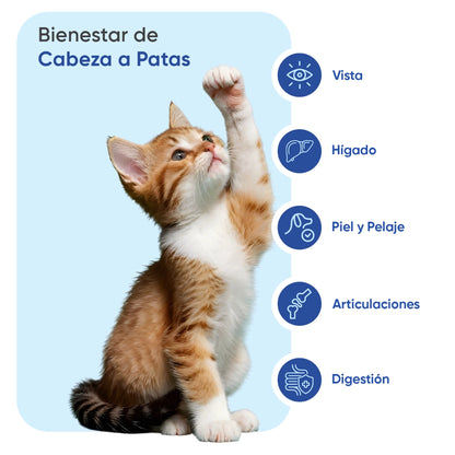 multivitamin-with-minerals-for-cats-es-2