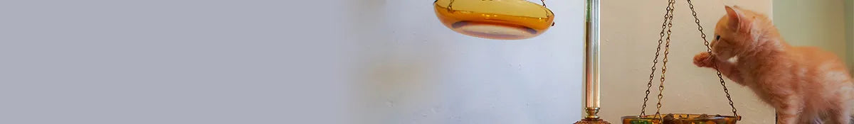 Animigo ES